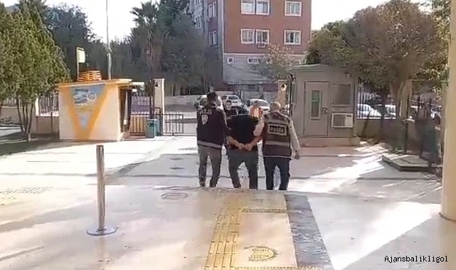 Urfa'da aranan cinayet zanlısı yakalandı
