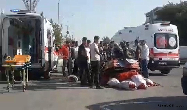 Urfa'da biber yüklü motosiklet devrildi! Sürücü hastanelik oldu