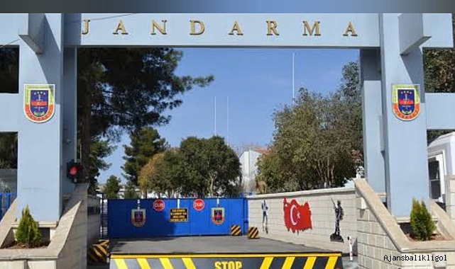 Urfa merkezli operasyon! Çok sayıda gözaltı
