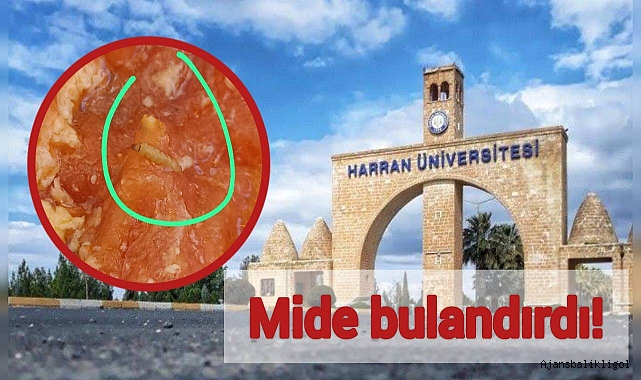 Harran Üniversitesi  yemekhanesinde mide bulandıran görüntü!