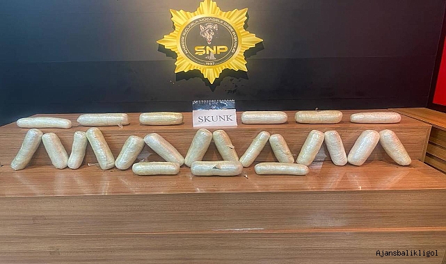 Şanlıurfa’da kilolarca skunk ele geçirildi! 1 gözaltı 