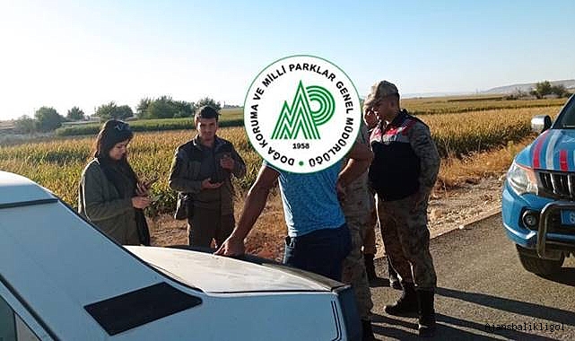 Urfa’da kaçak avcılara ceza yağdı! 