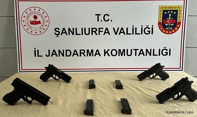 Urfa'da kaçak silah operasyonu!