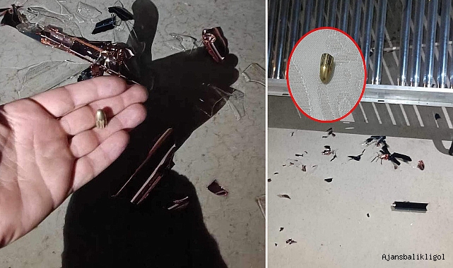 Urfa'da maganda kurşunları insanları tedirgin ediyor! 