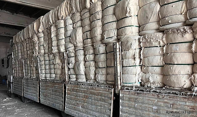 Urfa piyasasında kütlü ve preseli pamuk fiyatı belli oldu
