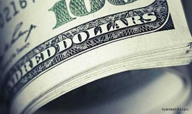 Döviz fiyatlarından son durum! Dolar kuru kaç TL oldu?