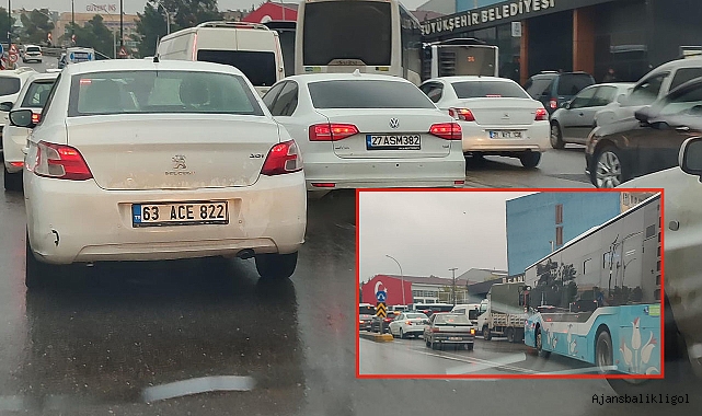 Gazze yürüyüşü Urfa'yı kilitledi 