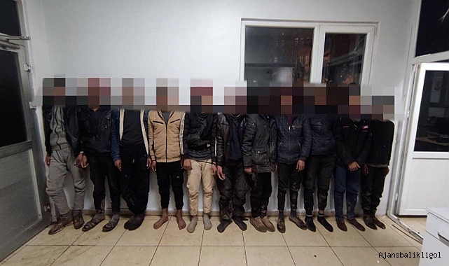Şanlıurfa'da göçmen kaçakçılığı operasyonu! 9 tutuklama