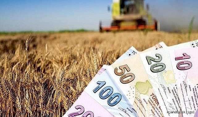 Urfa'da hububat ve bakliyat fiyatları açıklandı
