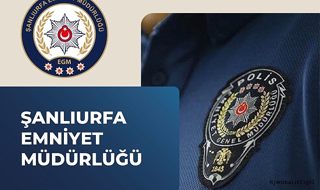 Urfa'da yılbaşı denetimleri! 81 aranan şahıs yakalandı
