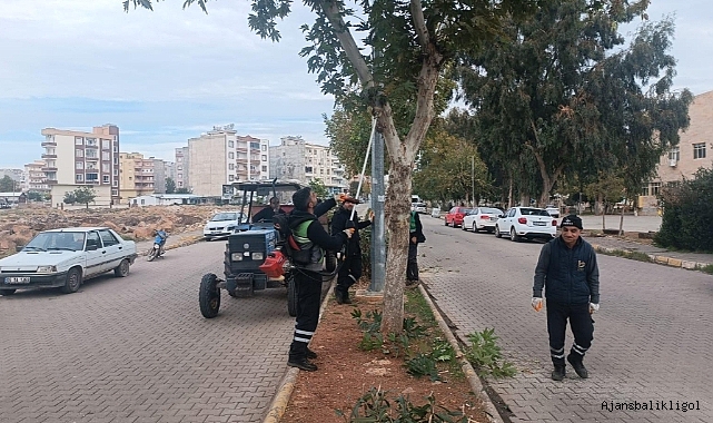 Viranşehir'de yeşil alanlarda hummalı çalışma