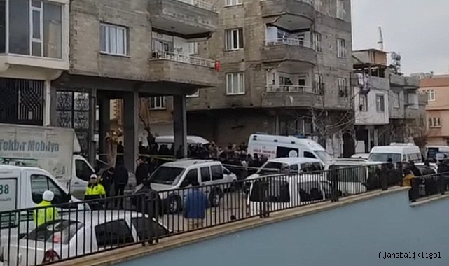 Aile katliamı yapan damat, Urfa'da yaşamına son verdi! 4 ölü,3 yaralı 