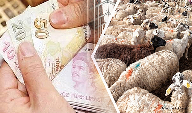 Bakanlıktan 6 milyon 225 bin TL'lik destek