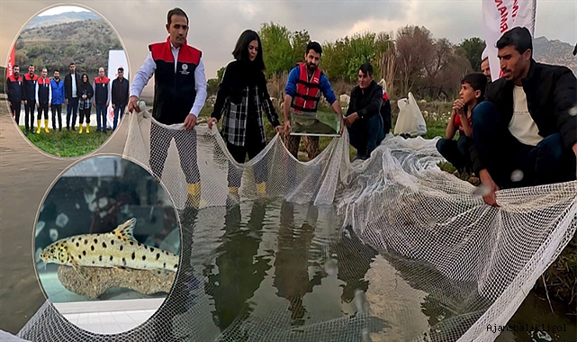 Dicle Nehri'nde leopar sazanı bulundu