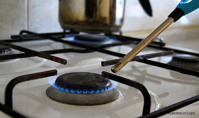 Doğal Gaz Tüketim Desteği’nde ödemeler başladı