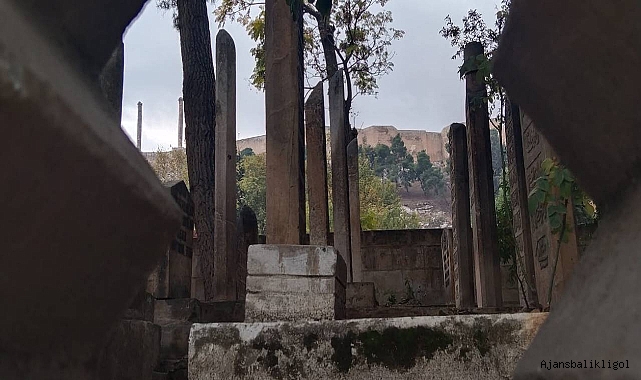 Şanlıurfa’da 4 kişi hayatını kaybetti 