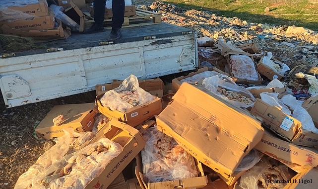 Urfa'da 2 ton bozulmuş tavuk eti ele geçirildi