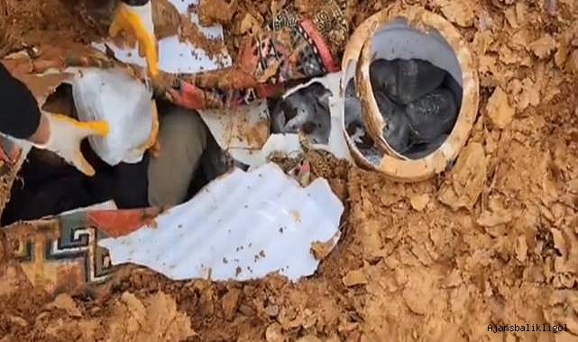 Urfa dahil 46 ilde operasyon! 1 tonun üzerinde uyuşturucu yakalandı