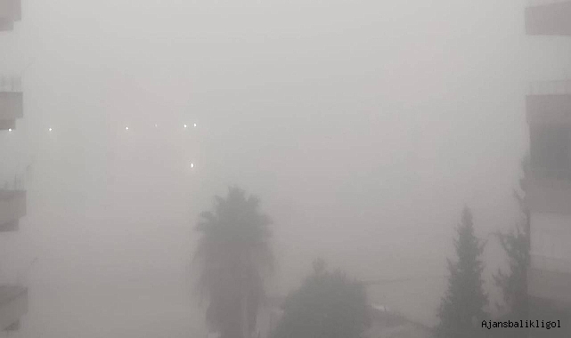 Şanlıurfa güne sisli havayla uyandı