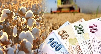 Urfa’da pamuk, hububat ve bakliyat fiyatları açıklandı