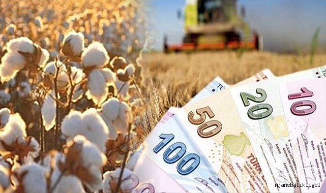 Urfa’da pamuk, hububat ve bakliyat fiyatları açıklandı