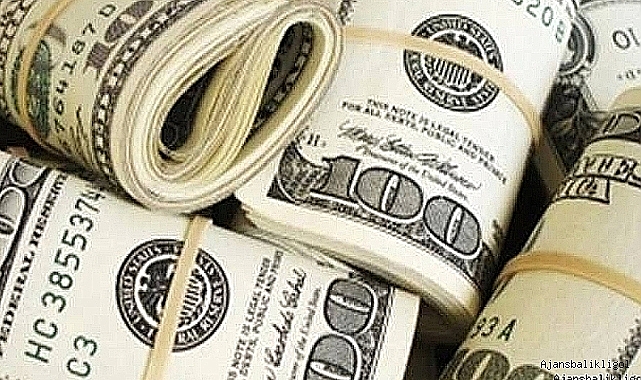 Dolar ve Euro kaç TL oldu?