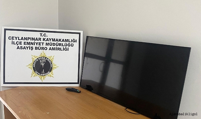 Ceylanpınar’da hırsızlık yapan şahıs yakalandı!
