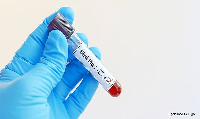 Kuş Gribi nedir? Salgın sırasında güvende kalmanın ipuçları