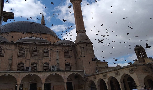 Şanlıurfa’da 5 ailenin acı günü!