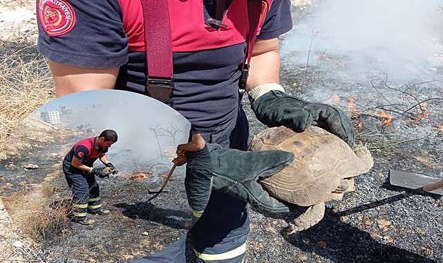 Şanlıurfa’da anız yangınlarına karşı uyarı! 