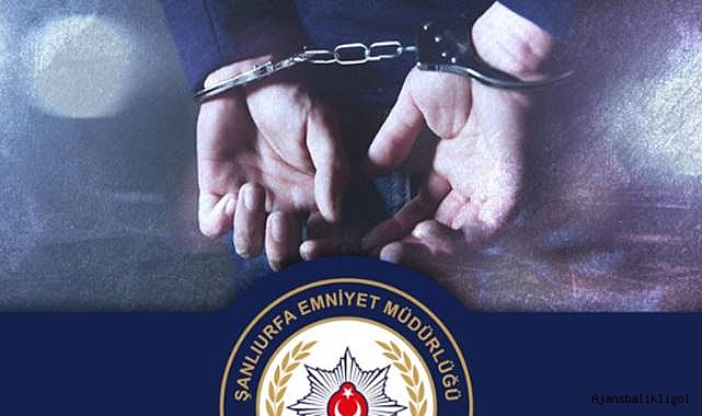 Şanlıurfa’da operasyon! 15 tutuklama
