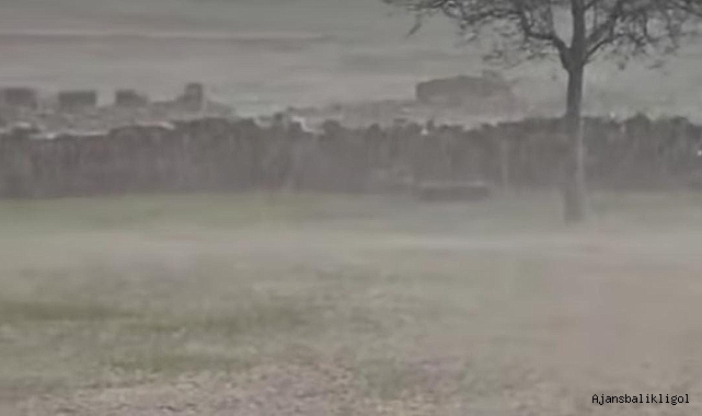 Urfa'da dolu yağışı ekili oldu
