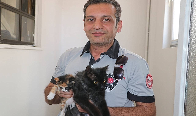 Doğumunu yaptırdığı kedi ile yavrularını sahiplendi 
