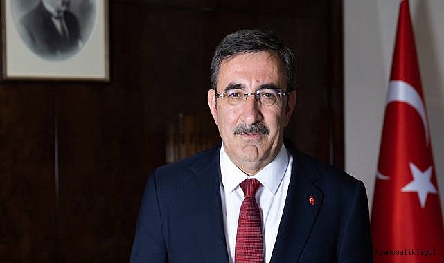 Kamuda araç kullanımında sınırlandırma olacak mı?