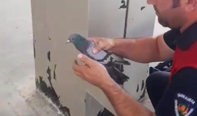 Kolonda sıkışınca yardımına itfaiye koştu
