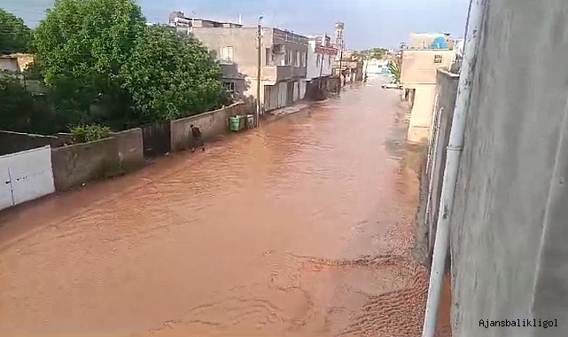 Şanlıurfa'da doğal afet! Dolu ve sağanak köyü vurdu