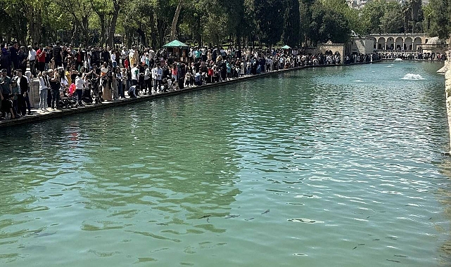 Şanlıurfa'da genç nüfus oranı yükseldi!
