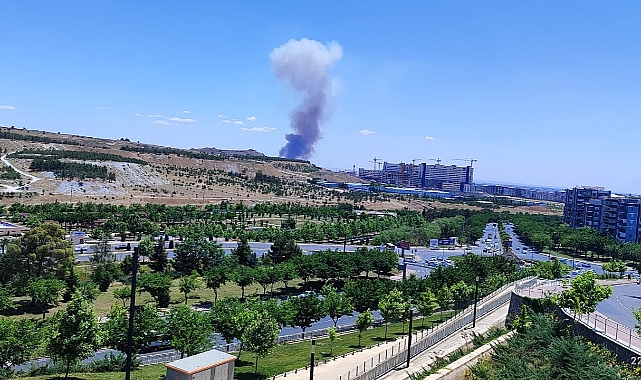 Şanlıurfa'da mera yangını!