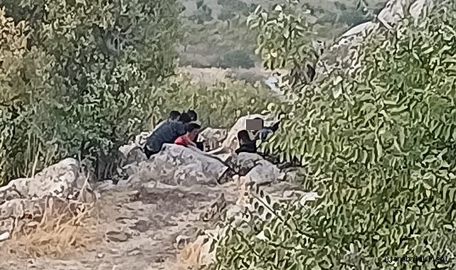 Urfa'da uyuşturucu partisi! Vatandaş tedirgin