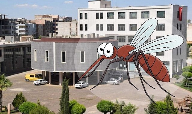 Viranşehir’de sinek ilaçlaması neden başlamadı! Belediyeden açıklama geldi