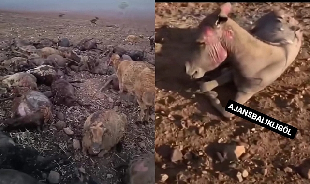 Diyarbakır'daki Yangında Ölü Sayısı Yükseldi