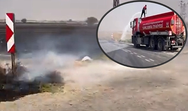Harran’da Anız Yakan Çiftçiye 451 Bin Para Cezası Kesildi