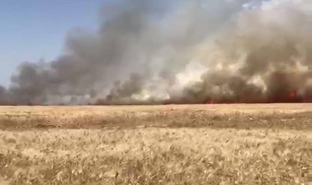 Hilvan’da Ekili Arazide Çıkan Yangın Büyük Zarara Neden Oldu!