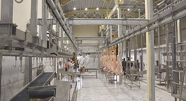 Kurban Bayramı Öncesi Kesimhane Denetimi