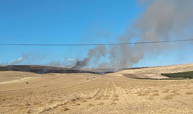 Şanlıurfa'da Arazi Yangını! Hızla Yayılıyor
