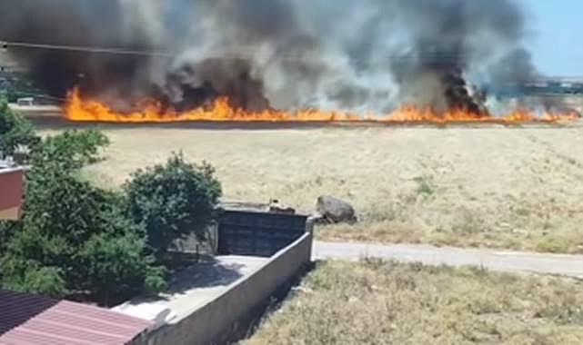 Şanlıurfa'da Buğday Ekili Tarlada Yangın! 