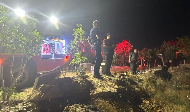 Şanlıurfa'da büyük yangın! Ormanlık alan yandı
