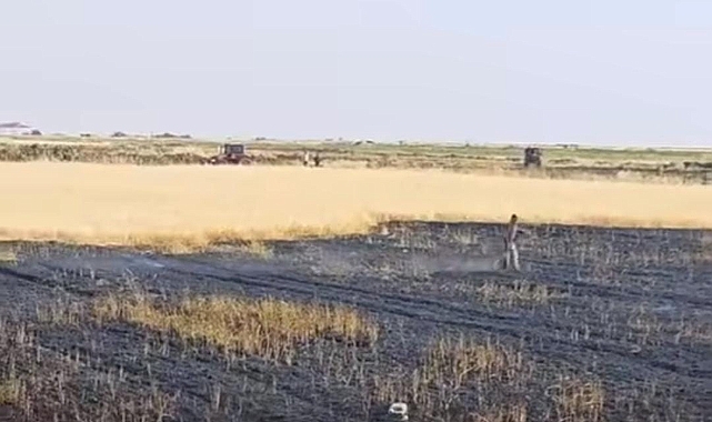 Siverek'te Bir Yangın Daha! Ekili Arazi Yandı