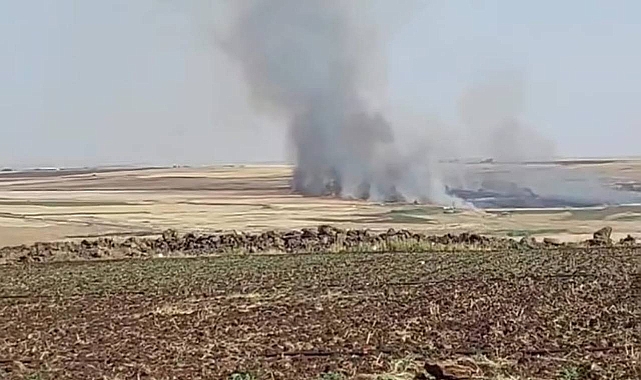 Urfa’da Ekili Tarlada Yangın Çıktı!