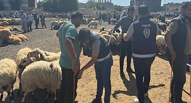 Urfa’da hayvan pazarında 337 şahıs sorgulandı!